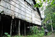 Foto: Cilts sievietes un saldūdens delfīnu meklējumi Borneo